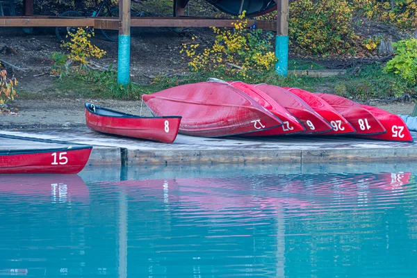 Canoës Bord Lac Louer — Photo