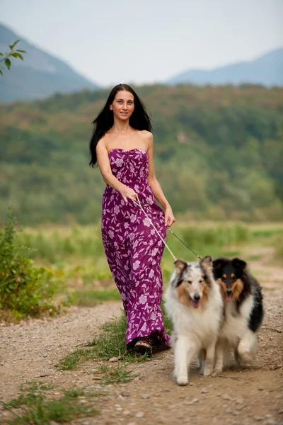 Giovane donna prendendo due collies su una passeggiata — Foto Stock