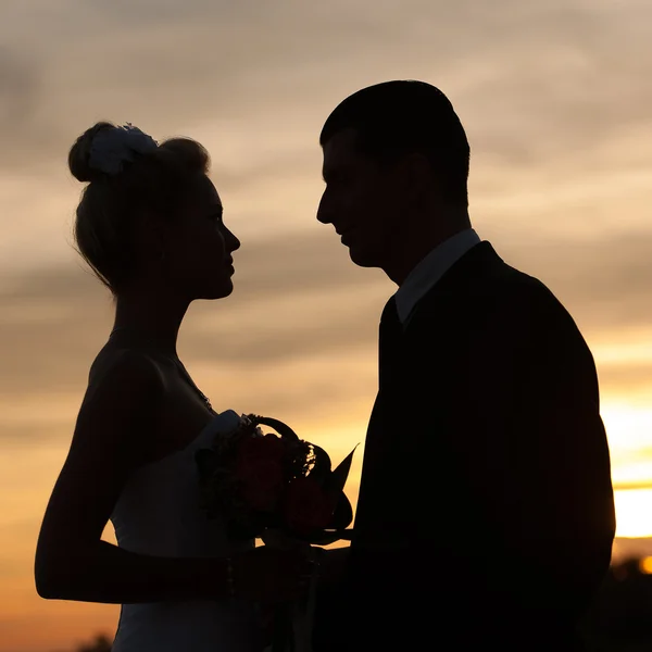 Silueta de la novia y el novio sobre el cielo evning — Foto de Stock