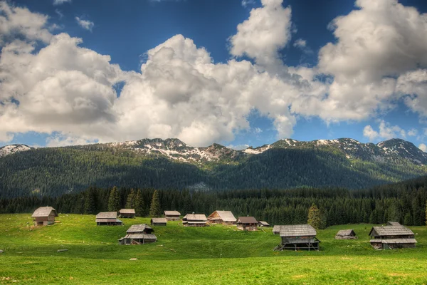 Sheepherd chaty na Pokljuky náhorní plošině ve Slovinsku central europ — Stock fotografie