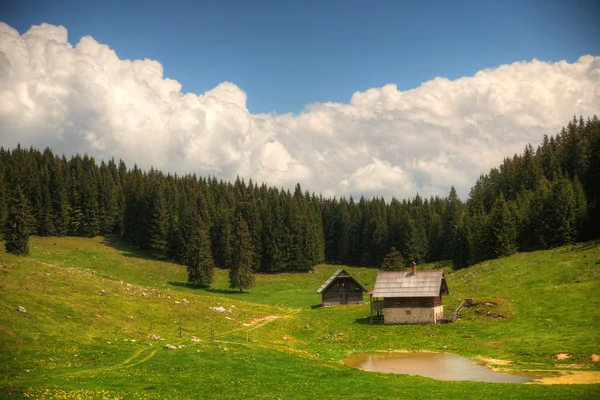 Sheepherd chaty na Pokljuky náhorní plošině ve Slovinsku central europ — Stock fotografie