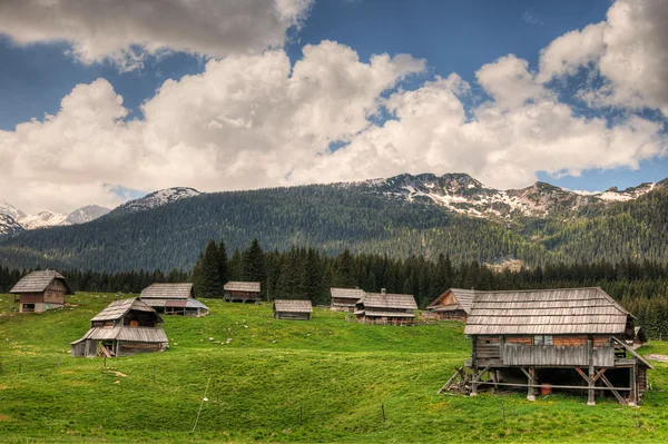 Sheepherd chaty na Pokljuky náhorní plošině ve Slovinsku central europ — Stock fotografie