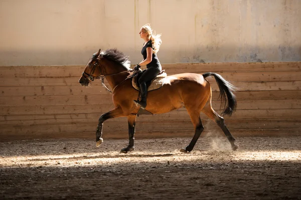 Schöne junge blonde Frau reitet auf einem Pferd — Stockfoto