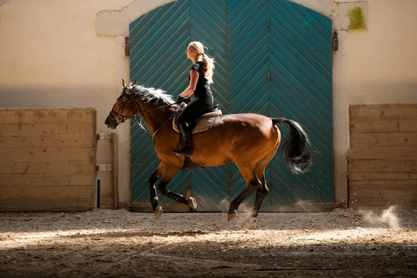 Bella giovane donna bionda a cavallo — Foto Stock