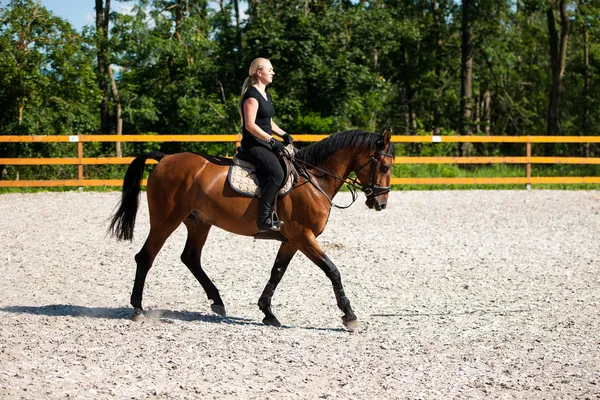 Piękna młoda blond kobieta na koniu — Zdjęcie stockowe