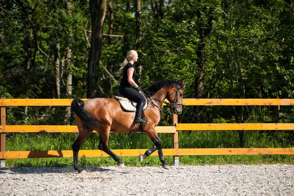 Linda jovem loira montando um cavalo — Fotografia de Stock