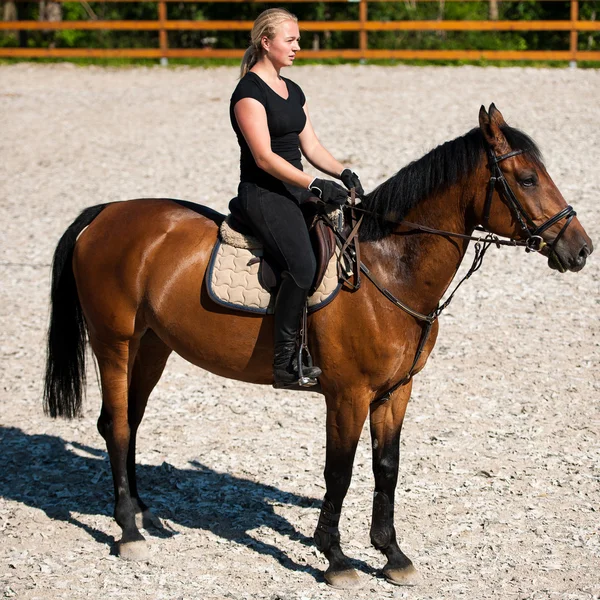 Красивая молодая блондинка на лошади — стоковое фото