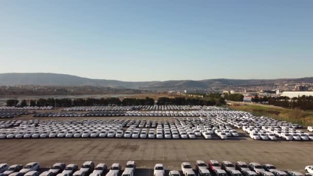 Αεροφωτογραφία Χιλιάδων Αυτοκινήτων Σταθμευμένων Λιμάνι Έτοιμων Προς Διανομή — Αρχείο Βίντεο