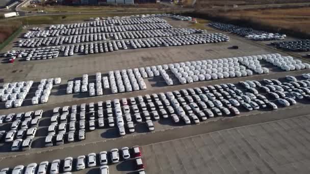 Vista Aérea Miles Coches Estacionados Puerto Listos Para Ser Distribuidos — Vídeos de Stock