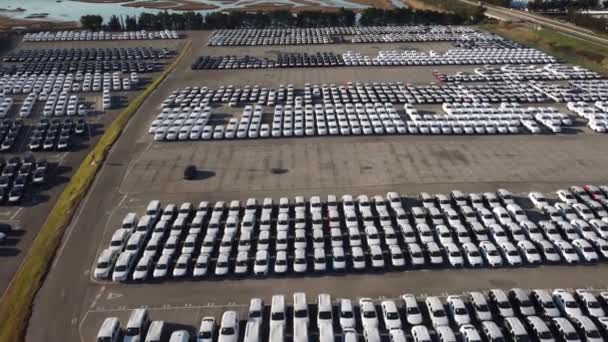 Vista Aérea Milhares Carros Estacionados Porto Prontos Para Serem Distribuídos — Vídeo de Stock