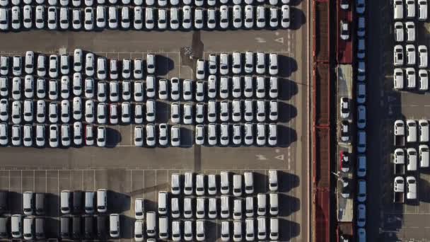 Vista Aérea Miles Coches Estacionados Puerto Listos Para Ser Distribuidos — Vídeos de Stock