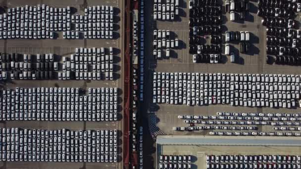 Widok Lotu Ptaka Tysięcy Samochodów Zaparkowanych Porcie Gotowych Dystrybucji — Wideo stockowe