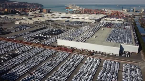 Container Navio Carga Descarga Porto Mar Profundo Vista Aérea Negócios — Vídeo de Stock