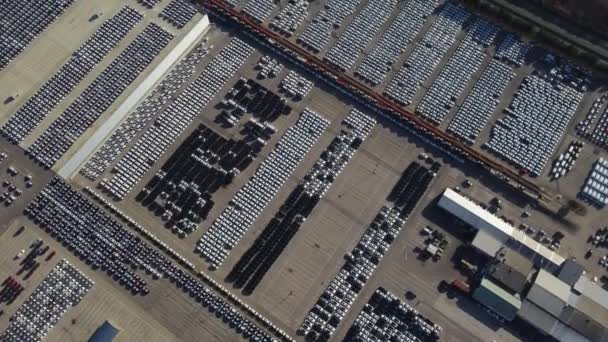 Nakládání Vykládání Kontejnerových Lodí Hlubinném Přístavu Letecký Pohled Obchodní Logistickou — Stock video