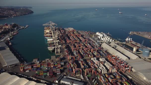 Container Schip Laden Lossen Diepzeehaven Luchtfoto Van Het Bedrijfsleven Logistieke — Stockvideo
