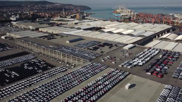 Container Navio Carga Descarga Porto Mar Profundo Vista Aérea Negócios — Vídeo de Stock