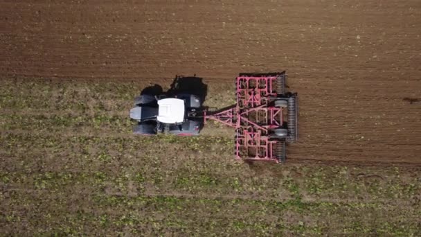 Traktor Som Odlar Mark Åker Våren Flygsikt Över Jordbrukare Tidigt — Stockvideo