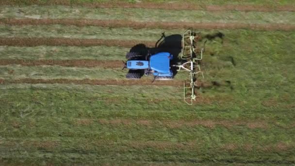 晴れた日の空中ビューでダブルホイールレーキトラクターと干し草をランク付け — ストック動画