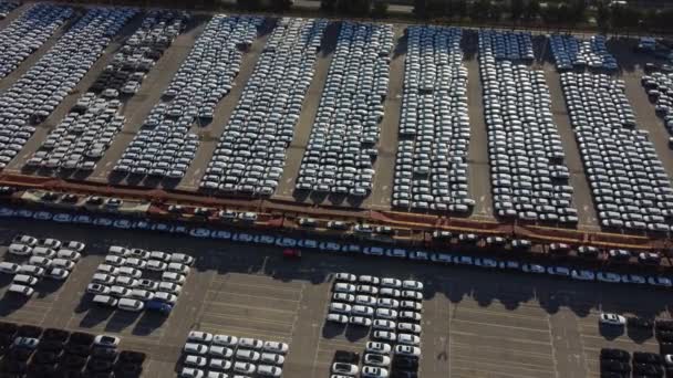 Container Ship Loading Unloading Deep Sea Port Aerial View Business — Stock Video