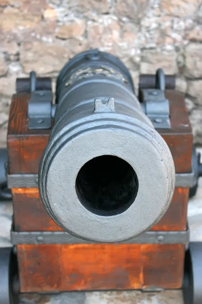 A vár cannon — Stock Fotó