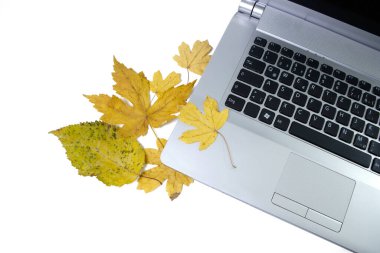 Laptop with a leaf on a white background