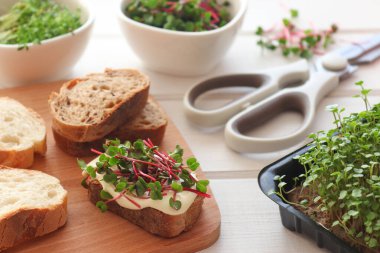 Mikroyeşillikli tostlar masada. Evde kahvaltı hazırlıyorum. Sağlıklı yiyecekler, vejetaryen yiyecekler ve diyet konsepti