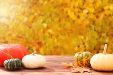 Şükran Günü tatili ya da sonbahar şenlik kompozisyonu, balkabaklarıyla, sarı sonbahar yaprakları ve alevlere karşı. Boşluğu kopyala, seçici odak.