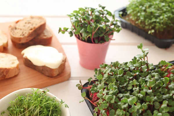 Mikroyeşilliklerle ev yapımı tost yapıyorum. Mikroyeşilliklerin ve ekmek parçalarının masaya sergilenmesi.