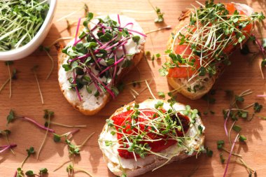 Somonlu tost, fırında dolmalık biber ve mikroyeşillikler. Lezzetli bir kahvaltı. Sağlıklı yiyecekler ve diyet. Üst görünüm.