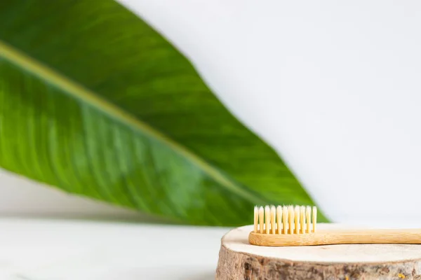 环保竹子牙刷在木片上 与绿叶相映成趣 口腔卫生和零浪费概念 有选择的重点 — 图库照片