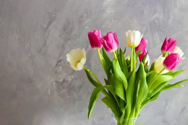 Fotokopi alanı olan güzel beyaz ve pembe laleler. Gri duvara karşı çiçek aranjmanı. Tatil için tebrik kartı.