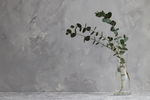 복사 공간 이 있는 미니멀리즘적 디자인. 회색 직물 벽에 붙어 있는 꽃병에 있는 유칼립투스 가지들 스톡 사진