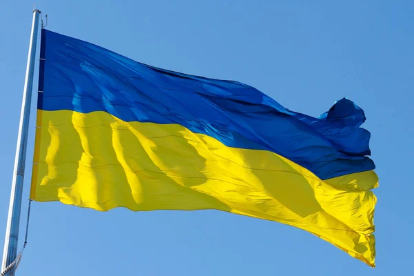 Národní vlajka Ukrajiny vlaje ve větru proti modré obloze zblízka. Koncept svobody, nezávislosti a vlastenectví Stock Obrázky