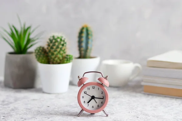 Werkplaats Wekker Klok Set Van Sappige Planten Potten Boeken Kopje — Stockfoto