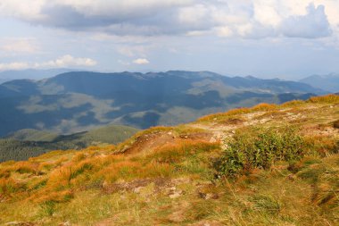 Karpat Dağları, Ukrayna. Güzel dağ manzarası bir yaz günü.