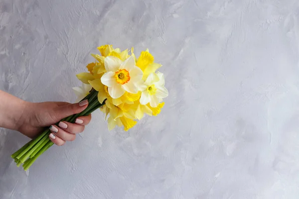 Female hand holds a bouquet of daffodils in front of a gray wall. Copy space. Gift concept — Stock Photo, Image