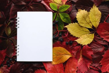 Mock up with blank sheet of paper and autumn colorful leaves close-up. Template for design, greeting card or invitation, copy space. Natural pattern. Top view, flat lay.