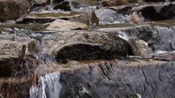 Slow Motion Mountain Stream Crystal Clear Rushing Water Selective Focus — Stockvideo