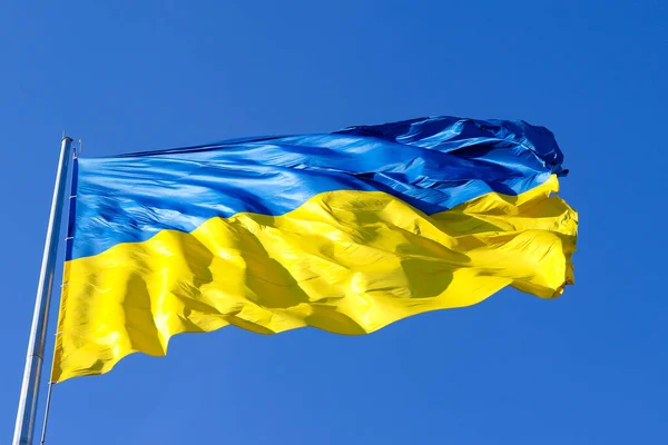 Ukrainian flag against clear blue sky. National holiday. Independence Day of Ukraine. Colors of freedom. Selective focus.