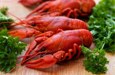 Boiled red crayfish or crawfish with parsley on a wooden kitchen board close-up. Menu for a pub or restaurant. Selective focus.