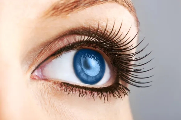Female blue eye with false lashes