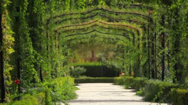 bir bahçede yeşil kemer