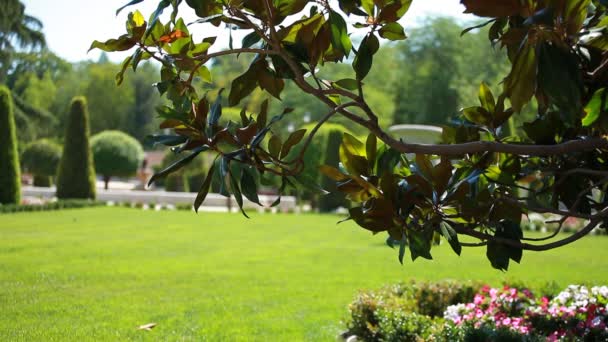 Parque de la ciudad en Madrid — Vídeos de Stock