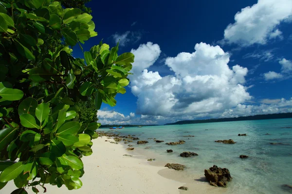 Ciel bleu et nuages sur l'île Havelock. Îles Andaman, Inde — Photo