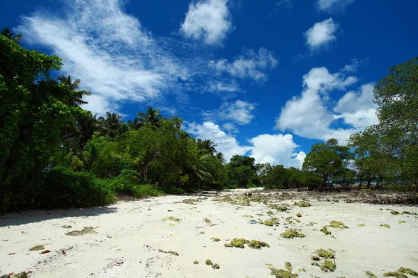 Cielo azul y nubes en la isla Havelock. Islas Andamán, India —  Fotos de Stock