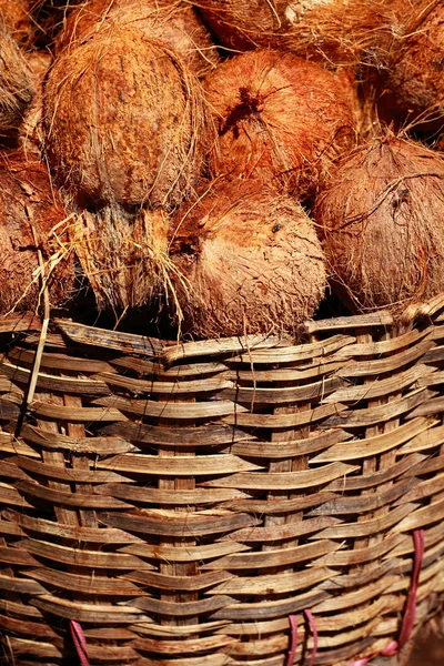 Tasty organic coconuts at local market in India — Stock Photo, Image