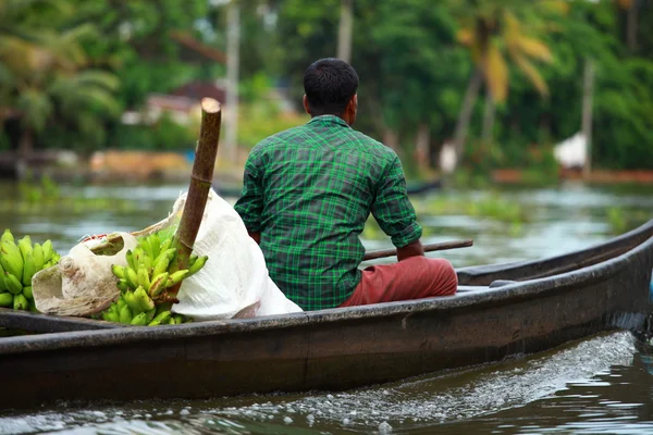 Palm tree tropical forest in backwater of Kochin, Kerala, India — Stock Photo, Image