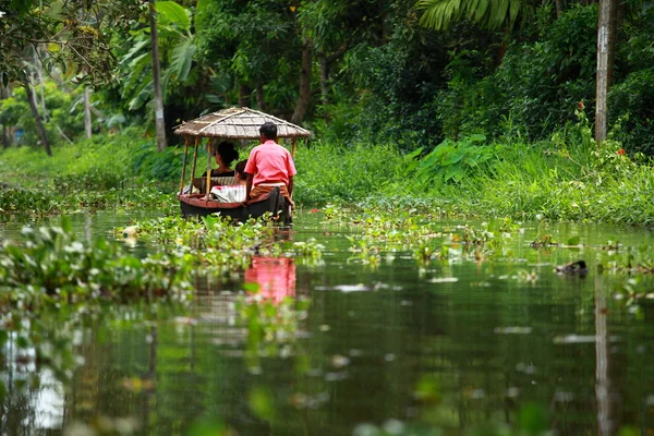 Palm tree tropical forest in backwater of Kochin, Kerala, India — Stock Photo, Image