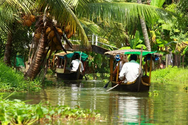 Palm tree tropický prales v zapadákov kochin, kerala, Indie — Stock fotografie