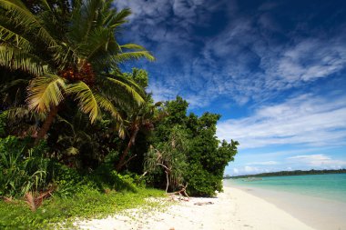Havelock ada mavi gökyüzü ile beyaz bulutlar, andaman Adaları, Hindistan